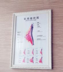 -成都伊贝丝美容美胸SPA会所