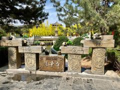 -大槐树寻根祭祖园