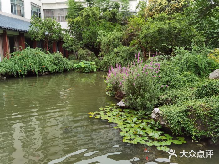 苏苑饭店-中餐厅(长桥地区店)图片