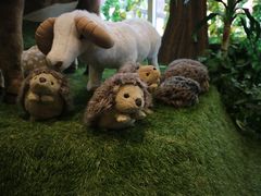 -济州岛泰迪熊博物馆