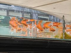 -园里火锅(仁和新城店)