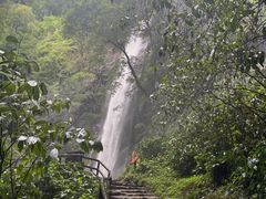 -莫里热带雨林景区