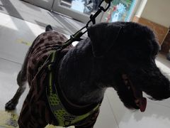 -美联众合动物医院·24h京西诊疗中心