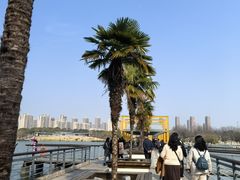 -白塘生态植物园