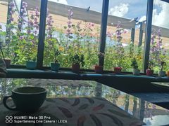 -玫瑰西餐厅.意面披萨.牛排咖啡