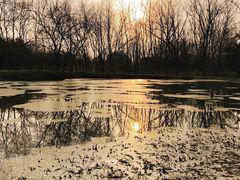 -蜀冈西峰生态公园