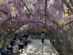 -红螺寺