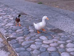 -太阳宫公园