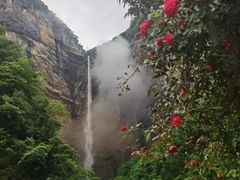 -鹿院坪生态旅游景区
