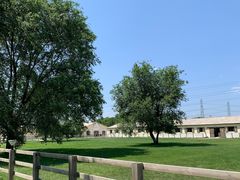 -北京群众马术培训基地