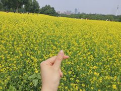 -长白岛森林公园