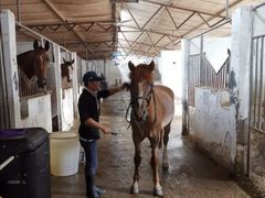 -月河湾马术俱乐部(朝阳店)