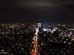 -六本木新城展望台(东京城市景观)