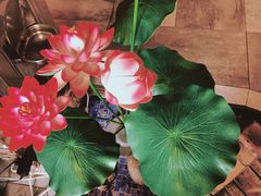 -蕃茄述·好汤自然来(江汉路店)