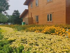 -东郊湿地公园