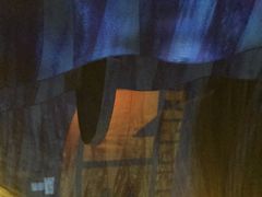 -奥兰多迪士尼动物王国乐园