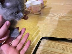 -解个谜沉浸剧情密室(天河店)