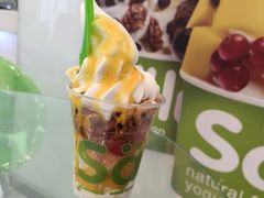 -Salud撒露欧洲冻酸奶(蓝色港湾店)