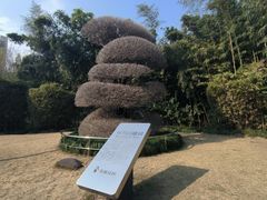 -苏州河梦清园环保主题公园