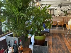 -the rug 飞毯 (朝阳公园店)