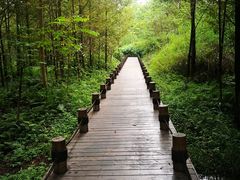 -桤木河湿地公园