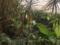 -金稼园·金平湖农家菜