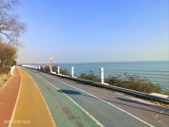 -贡湖湾湿地公园