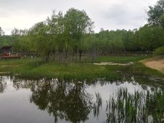 -东郊湿地公园
