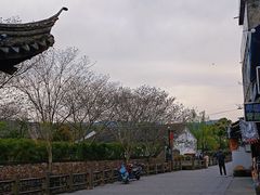 -鸣鹤古镇