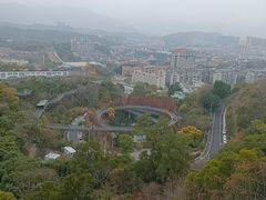 -福道