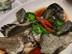 -绿岛国际酒店·海鲜酒楼(八七路店)