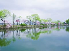 -无锡蠡湖国家湿地公园-蠡园