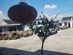 -苏州市吴中区光福窑上花果蜜饯厂