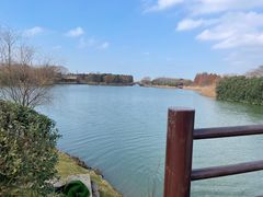 -苏州太湖国家湿地公园