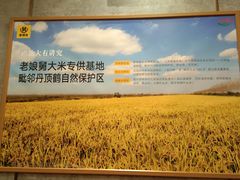 -老娘舅(西湖文化广场店)