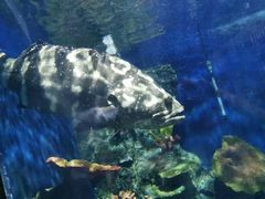 -泉州海丝野生动物世界