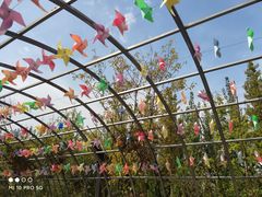 -渭南桃花源民俗文化园