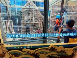 -PIPIKINGDOM皮皮王国欢乐号(欢乐海岸购物中心店)