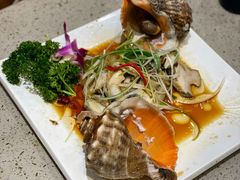 葱烧海螺-四海蒸鲜蒸汽海鲜自助(北戴河店)