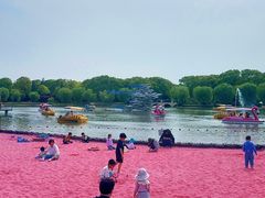 -上海鲜花港
