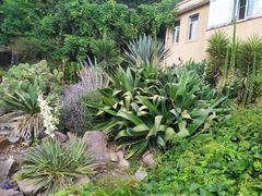 -昆明植物园