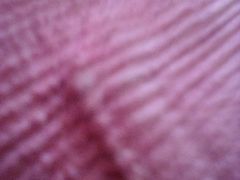 -北纬37°SPA养身会馆(湖西店)