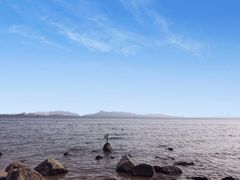-深圳湾公园(南山区)