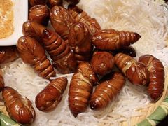 -鸽子窝(青塔店)