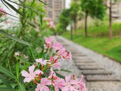 -那考河湿地公园