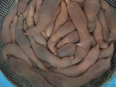 -香满居张记小厨私房菜(青岛站店)