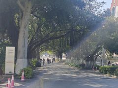 -厦门大学(思明校区)