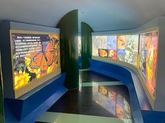 -上海昆虫博物馆