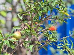 -NOTOOCAFE不二咖啡馆(岩前店)