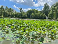 -长春世界雕塑园冰雪艺术天地